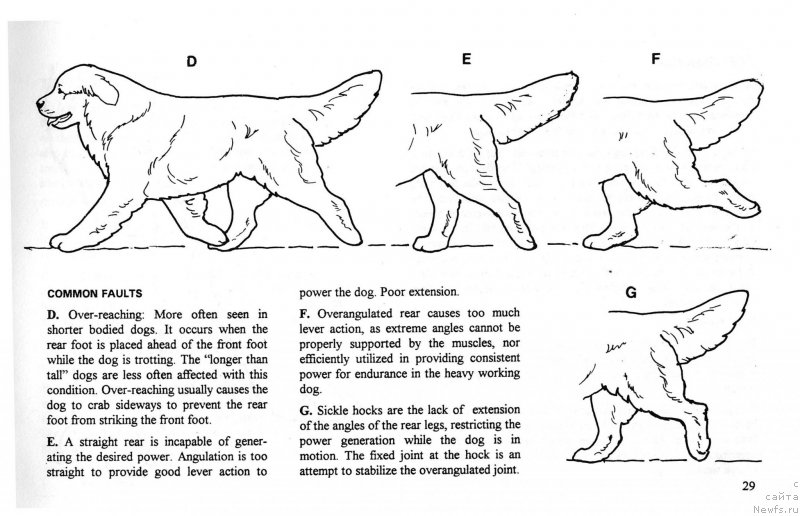 Фотография № 146791