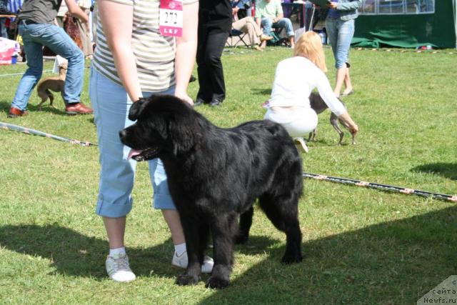 Фотография № 14680