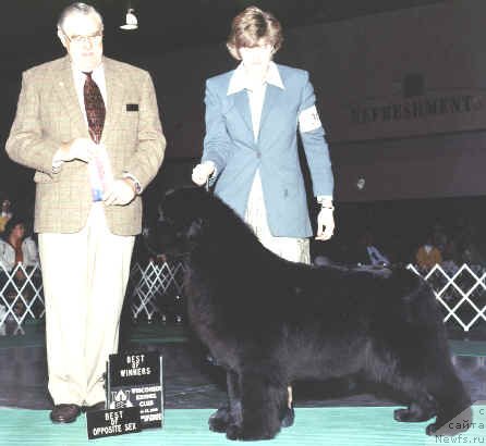 Фотография № 146808