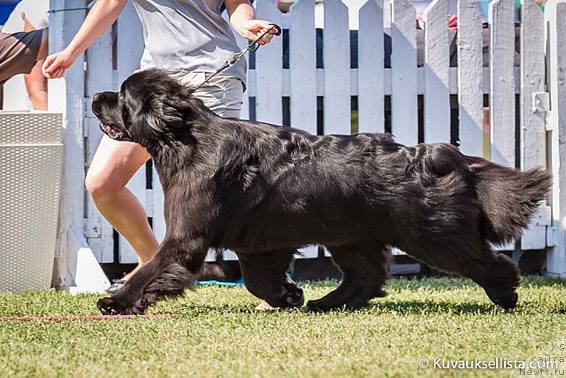 Фотография № 146809