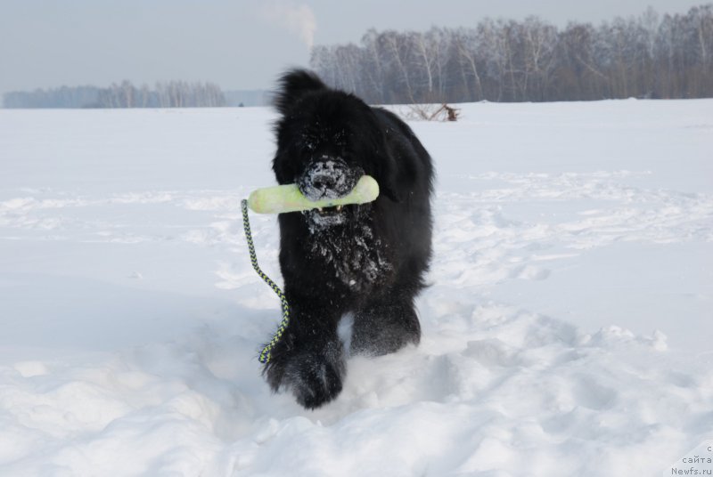 Фотография № 146813