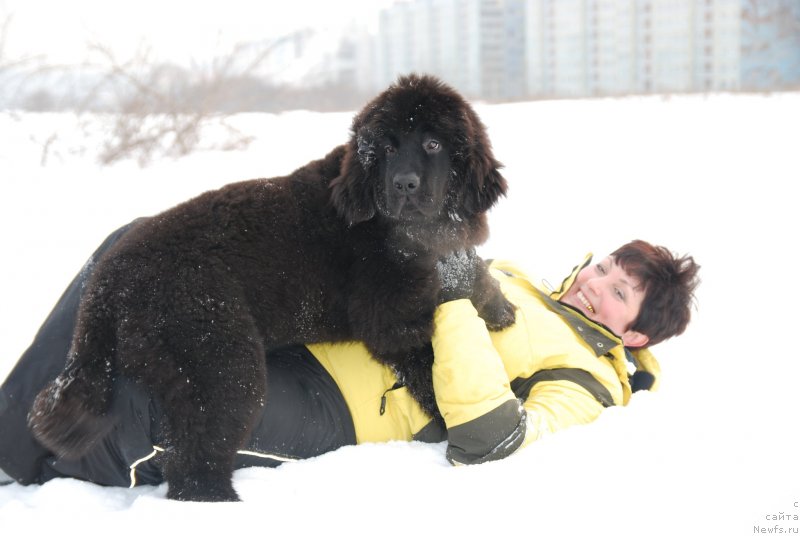 Фотография № 146822