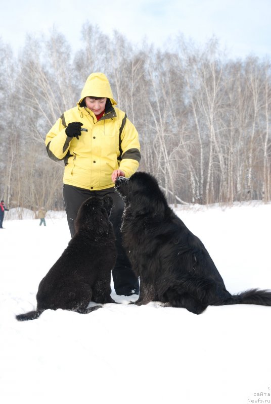 Фотография № 146824