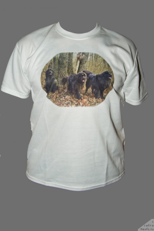 Фотография № 146871