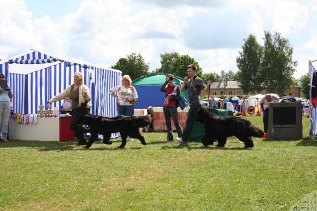 Фотография № 14688