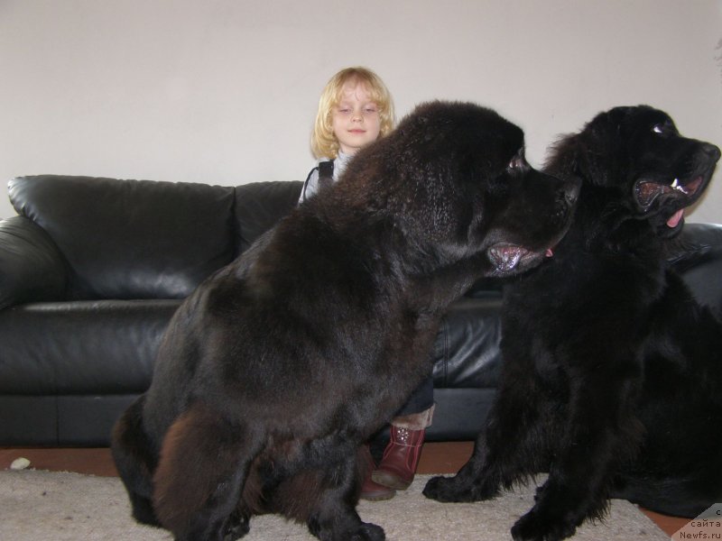 Фотография № 146881