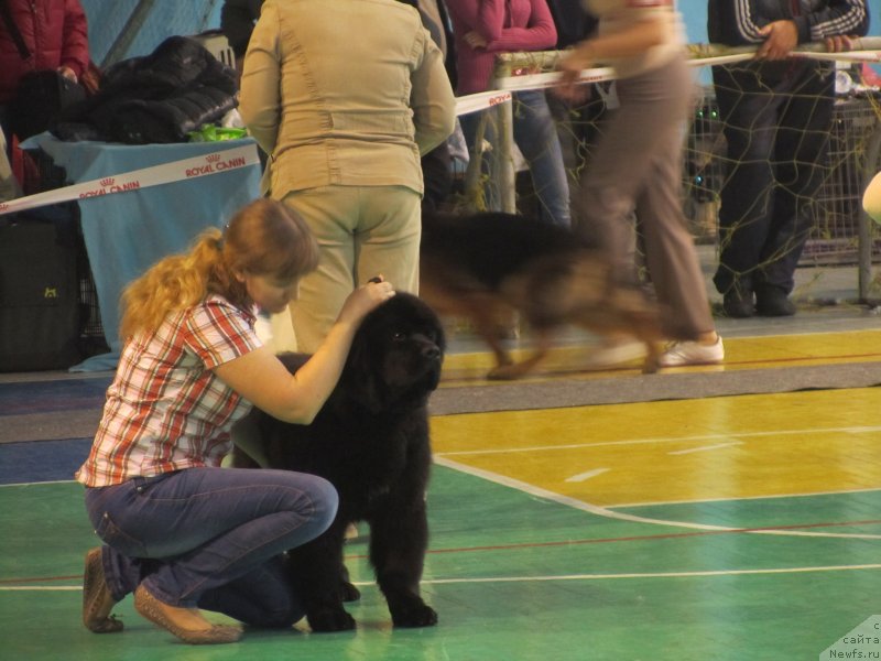 Фотография № 146949