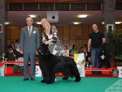 Фотография № 14695