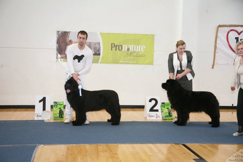 Фотография № 146966