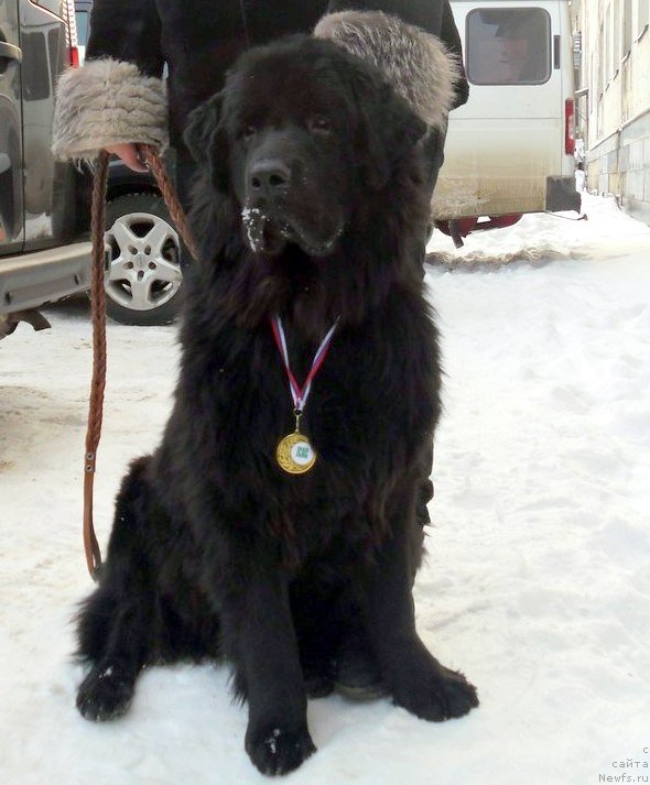 Фотография № 146975