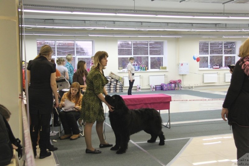 Фотография № 147025