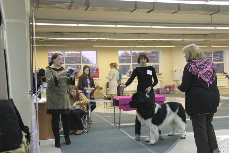 Фотография № 147026