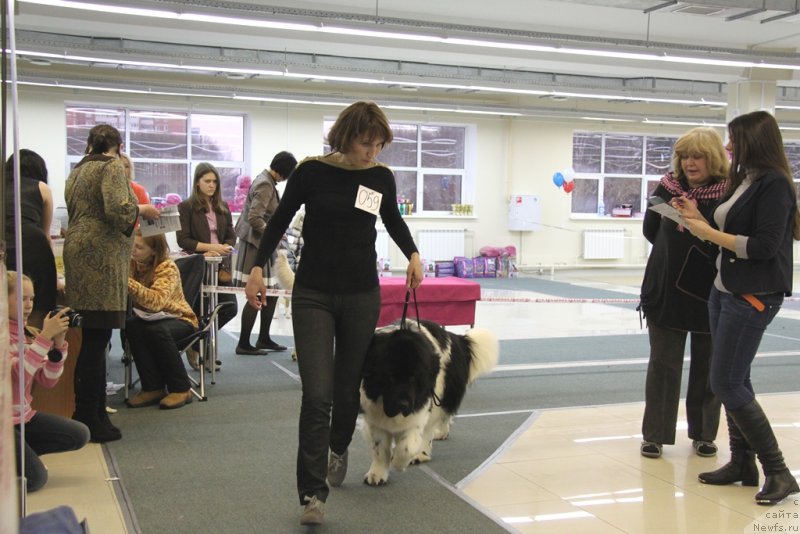 Фотография № 147027