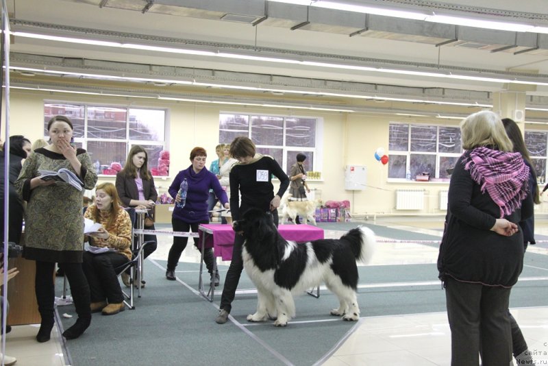 Фотография № 147028