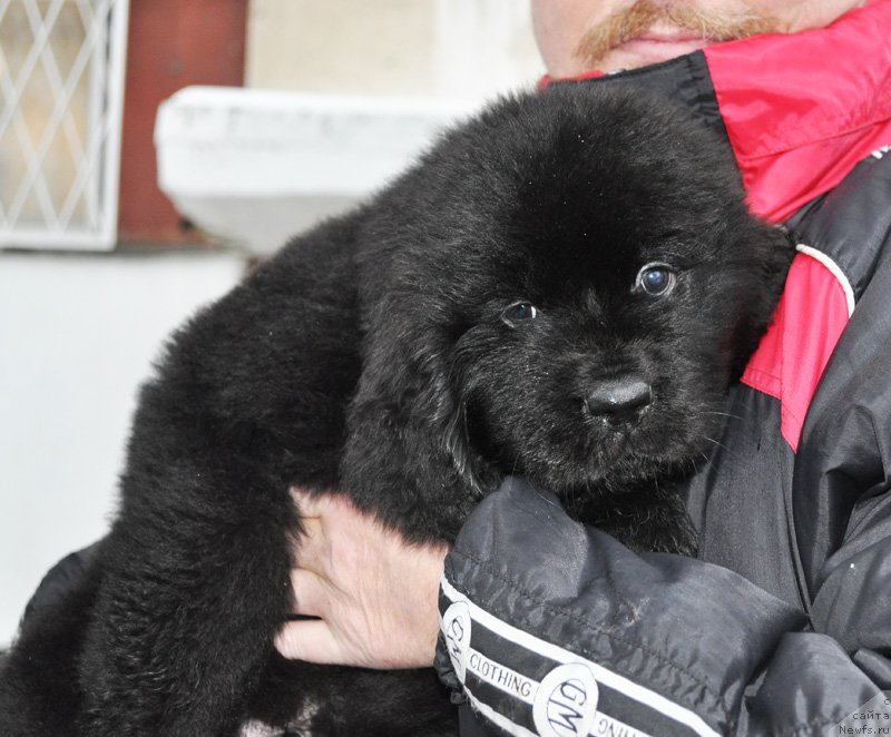 Фото: Бегущая по волнам ФОРБИДДЕН ЛАВ