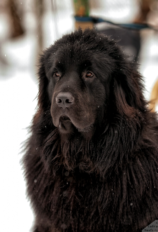 Фотография № 147068