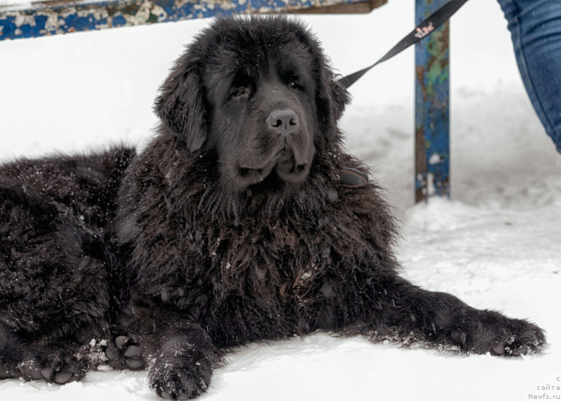 Фотография № 147069