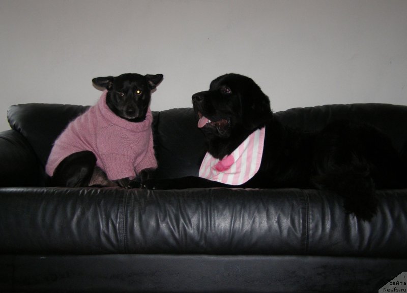 Фотография № 147085