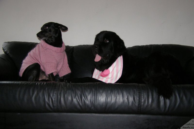 Фотография № 147086