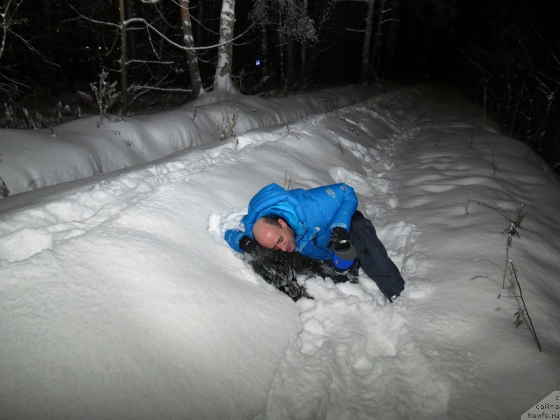 Фото: ньюфаундленд Черный Балу Джонс