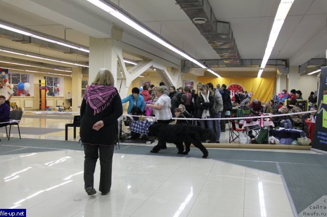 Фотография № 147134