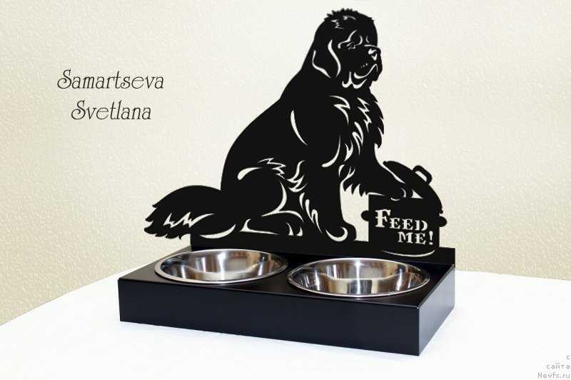 Фотография № 147151