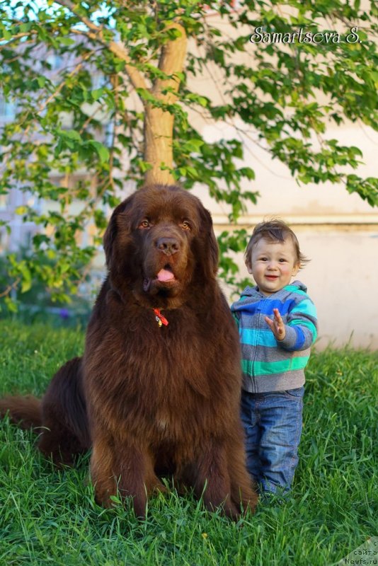 Фотография № 147152