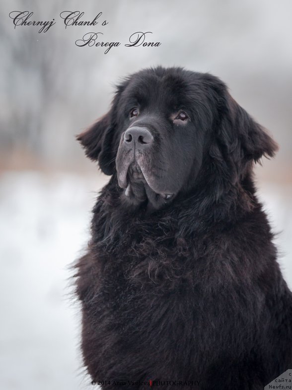 Фотография № 147156