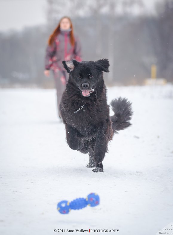 Фотография № 147158