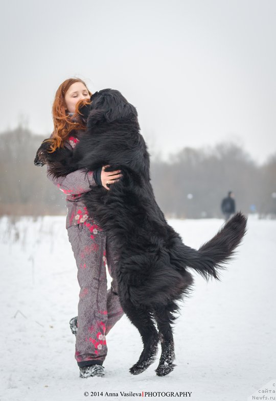 Фотография № 147159