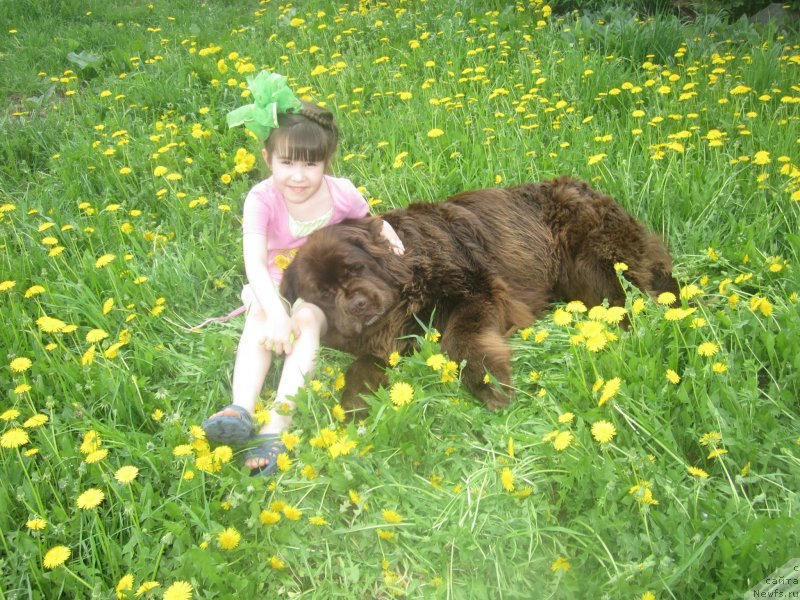 Фотография № 147167