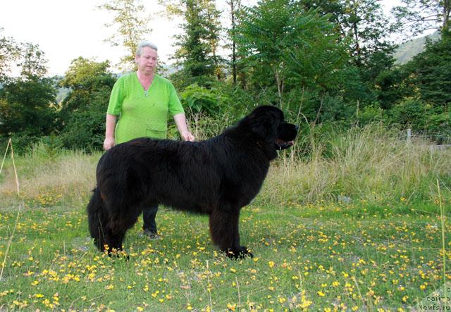 Фотография № 14719