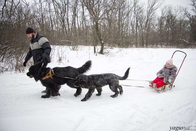 Фотография № 147190