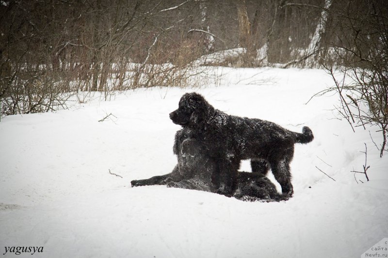 Фотография № 147193