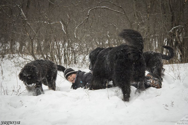 Фотография № 147194