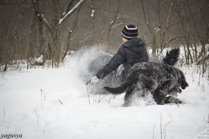 Фотография № 147197