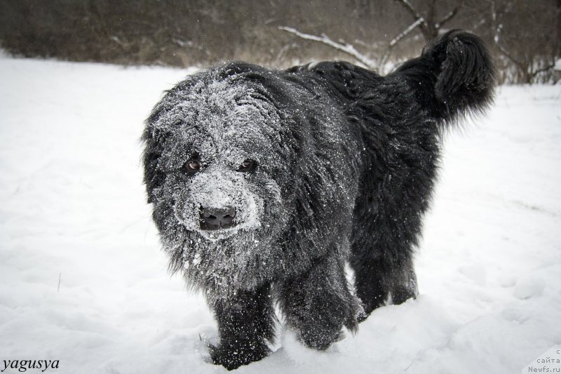 Фотография № 147198