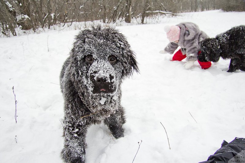 Фотография № 147199