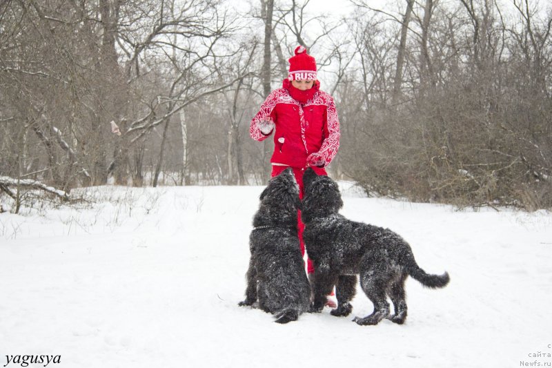 Фотография № 147200