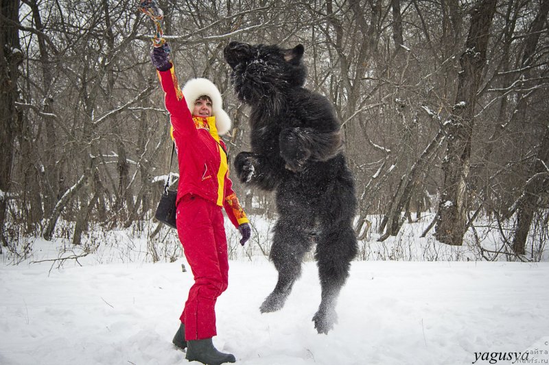 Фотография № 147201