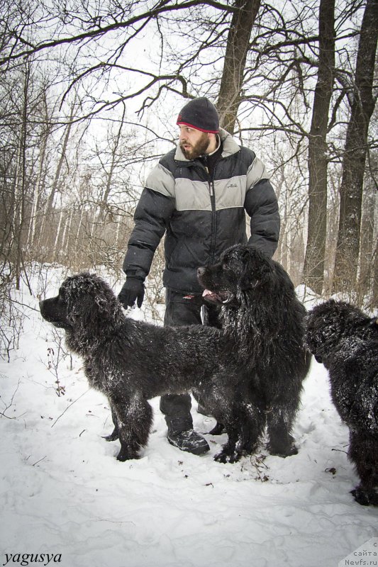 Фотография № 147202