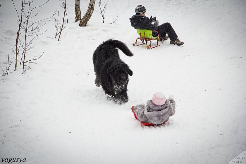 Фотография № 147204