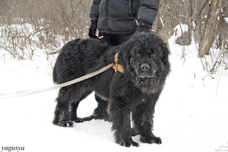 Фотография № 147207