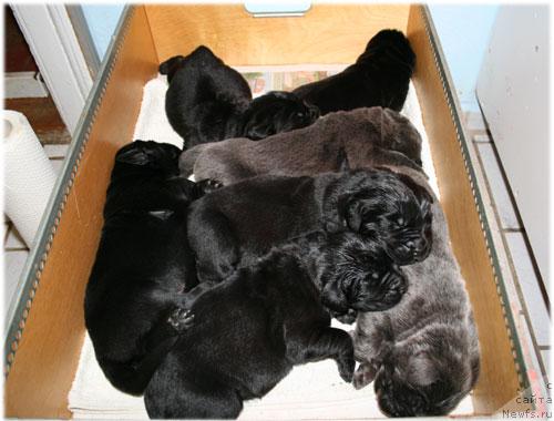 Фотография № 14726