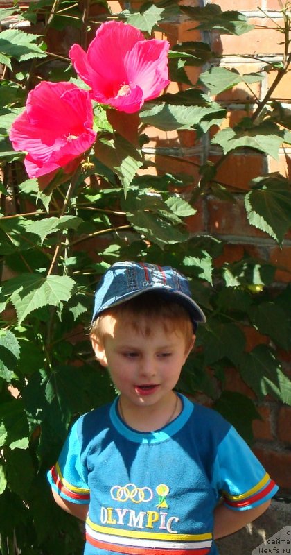 Фотография № 147275