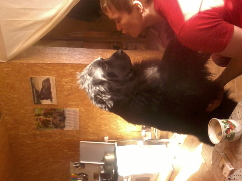 Фотография № 147289