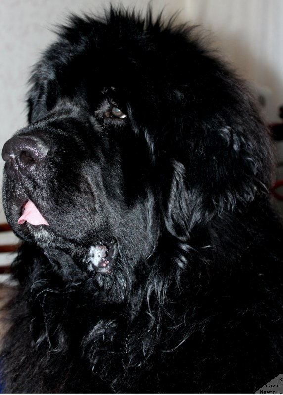 Фотография № 147294