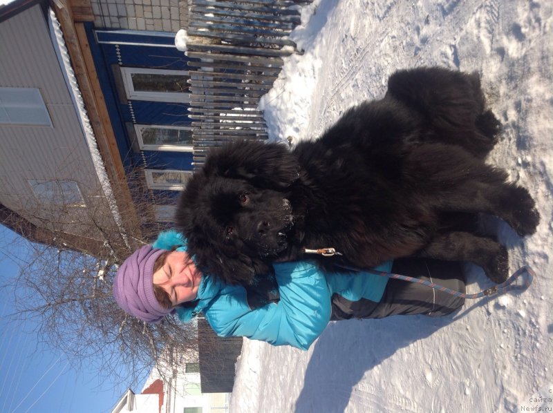 Фото: Цезарь с мамой Любой