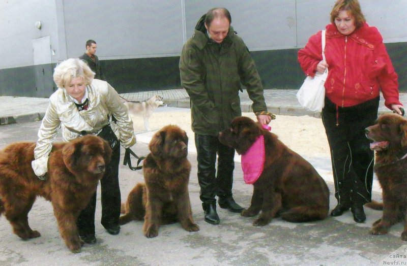 Фотография № 147325