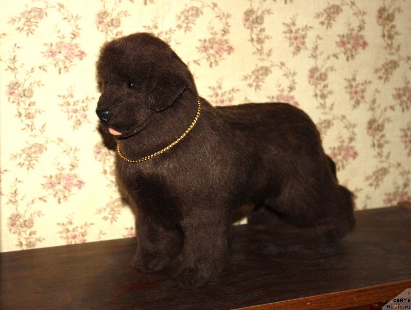 Фотография № 147338